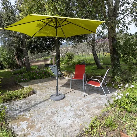 A Vigna By Interhome Дом отдыха Сотта