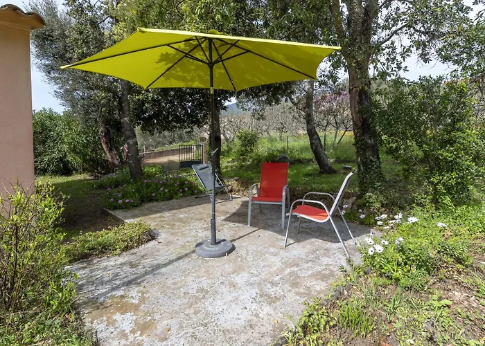 A Vigna By Interhome Tatil Evi Sotta